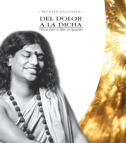 Del Dolor A La Dicha - From Pain To Bliss in Spanish (Book)
