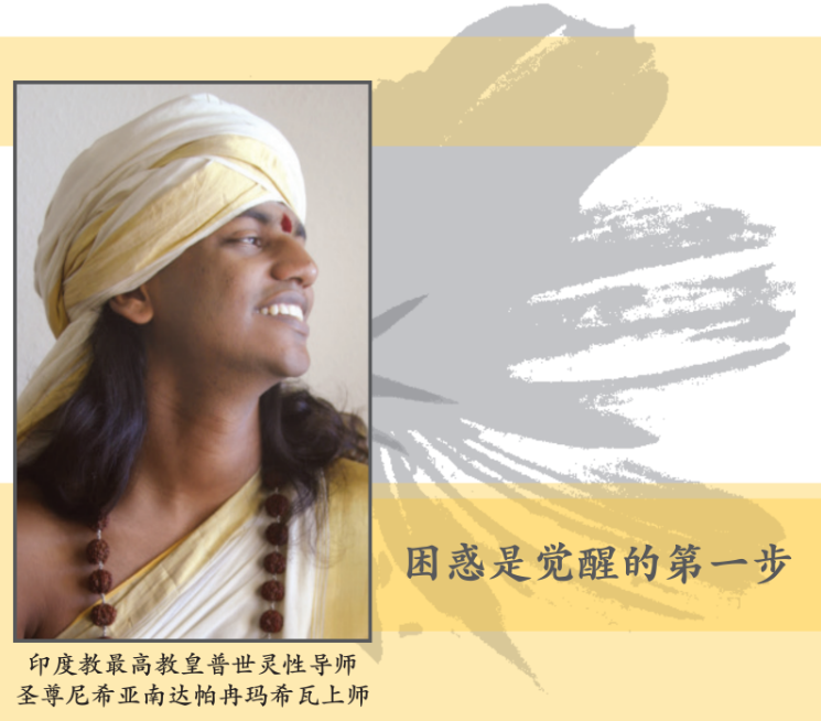 Simplified-Confusion is the First Step to Enlightenment chinese