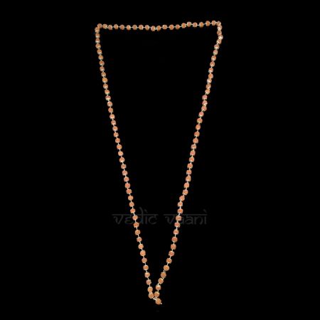 Mahadeva Rudraksha Silver Kantha Mala for Shivalingum Shringar