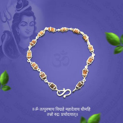 One (1) Mukhi Java Rudraksha Bracelet in Pure Silver