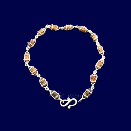 One (1) Mukhi Java Rudraksha Bracelet in Pure Silver