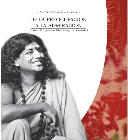 De Preocupaciones A La Admiracion (From Worrying to Wondering in Spanish) (Book)