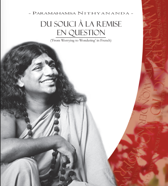 Du souci a la Remise en Question (From Worrying to Wondering in French) (Book)