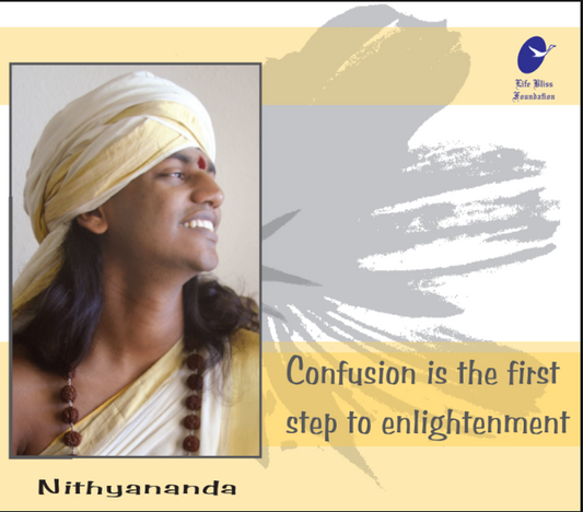 Confusion Is The First Step To Enlightenment (Book)