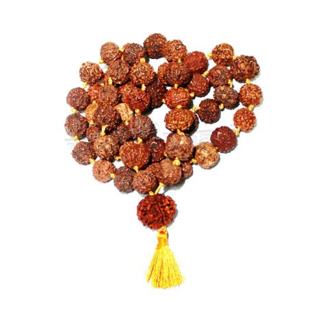 7 Mukhi Rudraksha Kantha Mala