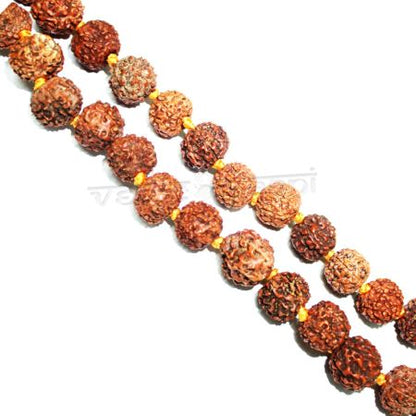 7 Mukhi Rudraksha Kantha Mala