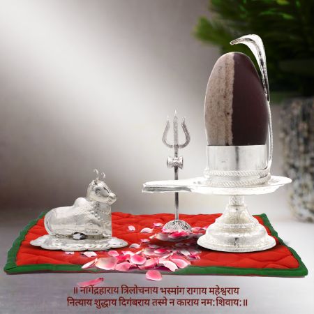 Rudradev Mahadev Trinetra Dhari Ardhanarishvara Shiva Shakti Shivling