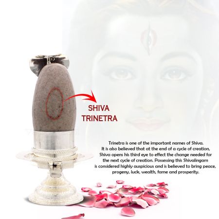 Rudradev Mahadev Trinetra Dhari Ardhanarishvara Shiva Shakti Shivling