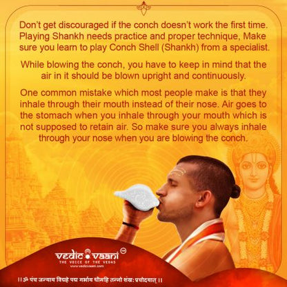 Artistic Shankha for Blowing, Daily Auspicious Religious Rituals