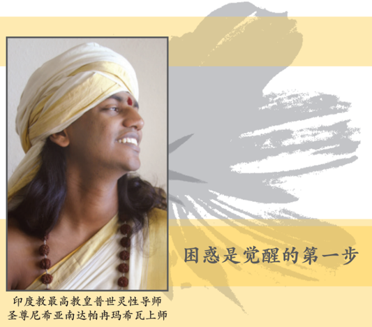 Simplified-Confusion is the First Step to Enlightenment chinese