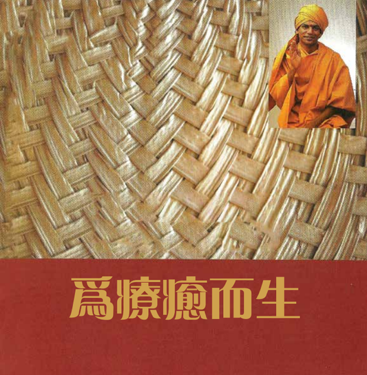 Born-to-Heal (chinese)