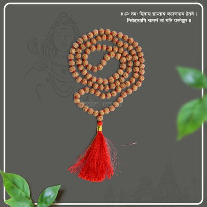 Panchmukhi Chikna Rudraksha Beads Mala