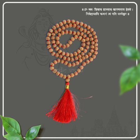 Panchmukhi Chikna Rudraksha Beads Mala