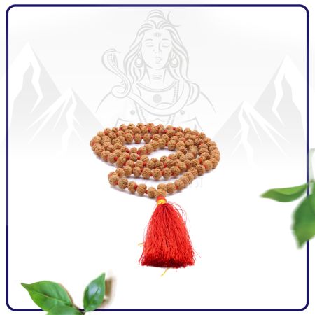Panchmukhi Chikna Rudraksha Beads Mala