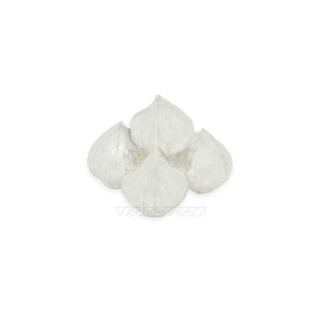 Lord Ganesha favourite Modak with Banana Leaf in Pure Silver