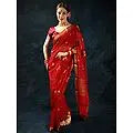 True-Red Handloom Saree with Nandi Ox Woven All-Over