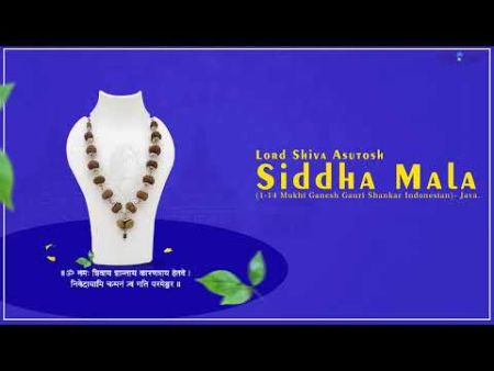 Lord Shiva Asutosh Siddha Mala (1-14 Mukhi Ganesh Gauri Shankar Indonesian)-Java