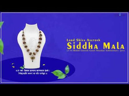 Lord Shiva Asutosh Siddha Mala (1-14 Mukhi Ganesh Gauri Shankar Indonesian)-Java