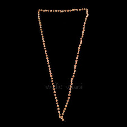 Mahadeva Rudraksha Silver Kantha Mala for Shivalingum Shringar