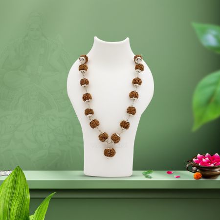 Lord Strength Surya Narayan Devta 12 Mukhi Rudraksha with 5 Mukhi Mahadeva Kantha Mala