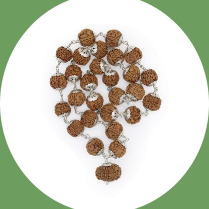 Lord Strength Surya Narayan Devta 12 Mukhi Rudraksha with 5 Mukhi Mahadeva Kantha Mala