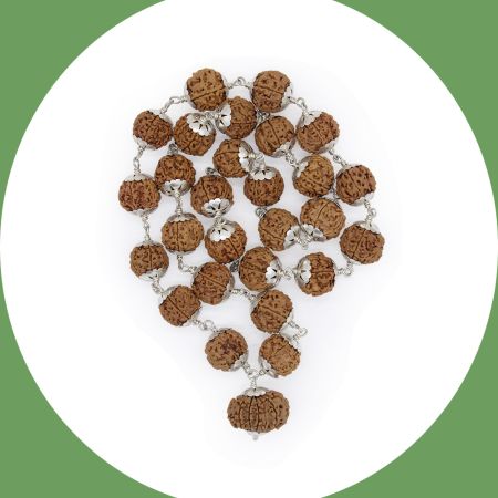 Lord Strength Surya Narayan Devta 12 Mukhi Rudraksha with 5 Mukhi Mahadeva Kantha Mala