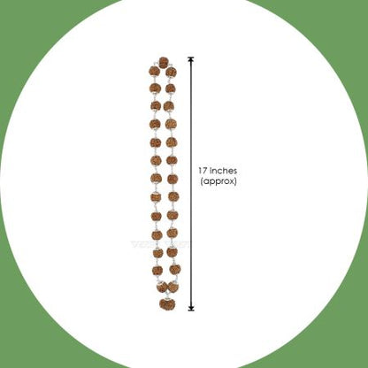 Lord Strength Surya Narayan Devta 12 Mukhi Rudraksha with 5 Mukhi Mahadeva Kantha Mala