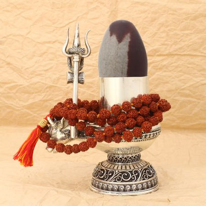 Powerful Shiva and Shakti divine unity Ardhanarishvara shiva lingam silver yoni set