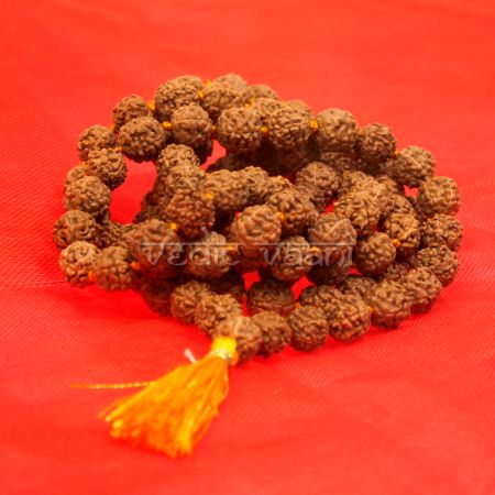 Rudraksha mala in thread - 8 mm size