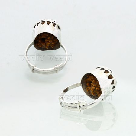 6 Mukhi Rudraksha Ring - Adjustable