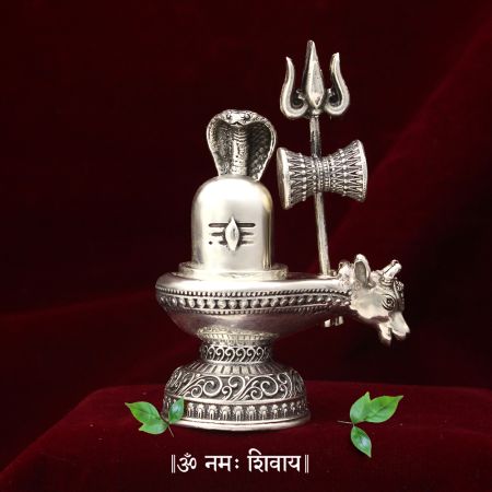 Shakti The Power Shivalinga in Pure Silver