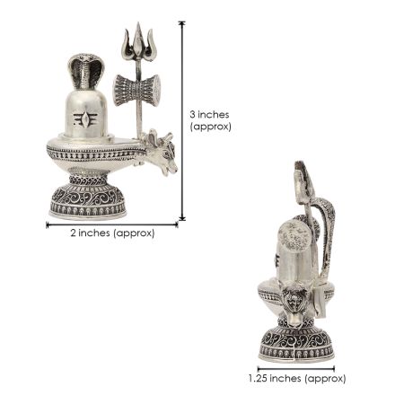 Shakti The Power Shivalinga in Pure Silver