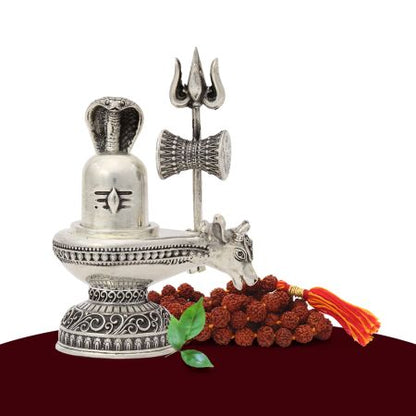 Shakti The Power Shivalinga in Pure Silver
