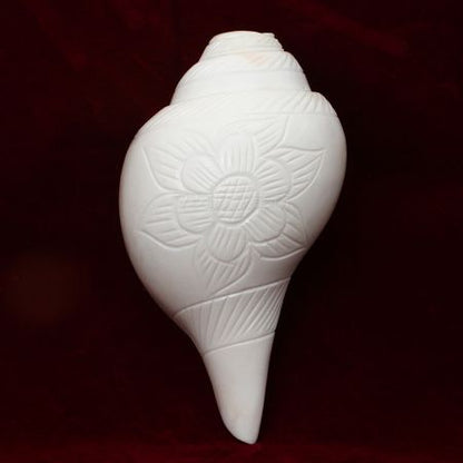 Original Loud Blowable Blowing Shankh