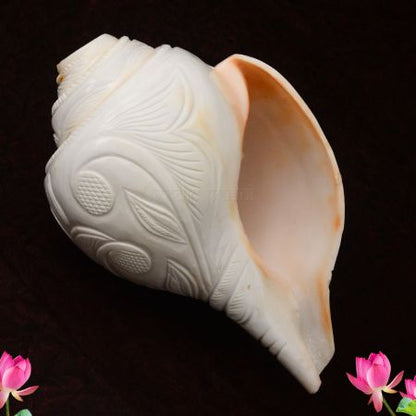 Engraved Blowing Shankh