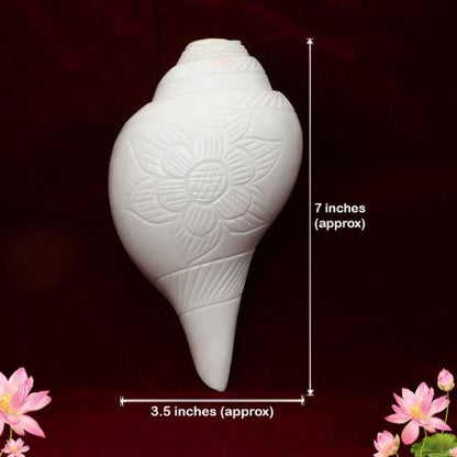 Original Loud Blowable Blowing Shankh