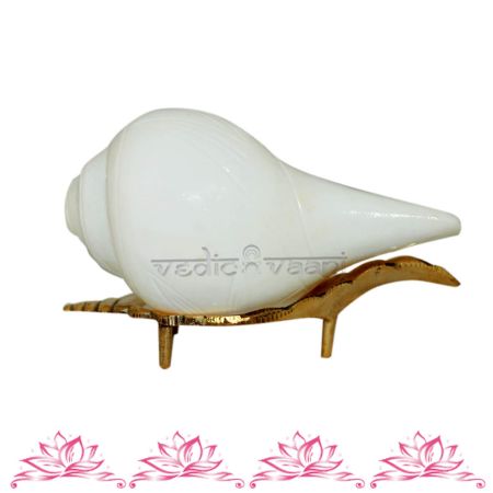 Shankh With Brass Stand
