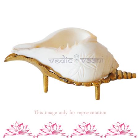 Shankh Stand