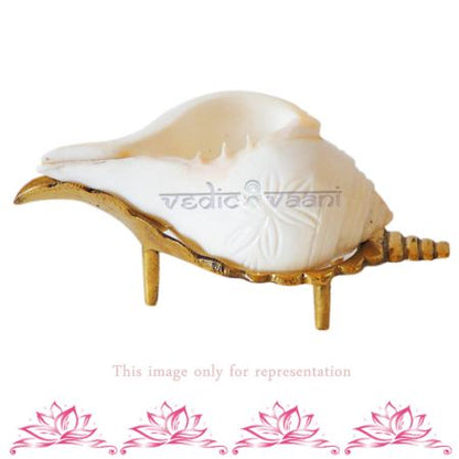 Shankh Stand