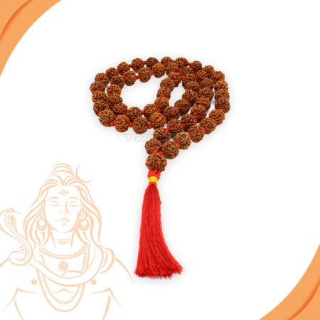 Punchmukhi (5) Mukhi Rudraskha Kantha Nepal Beads (54+1)