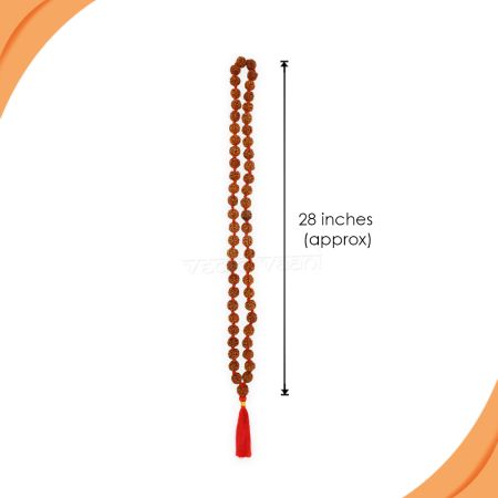 Punchmukhi (5) Mukhi Rudraskha Kantha Nepal Beads (54+1)