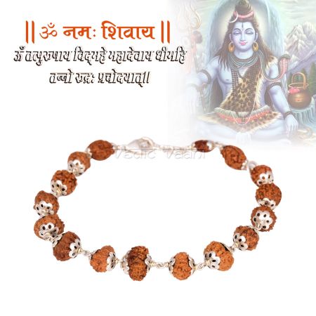 Siddha Rudraksha Bracelet 1 to 14 Mukhi Java Rudraksha in silver caps with Certificate