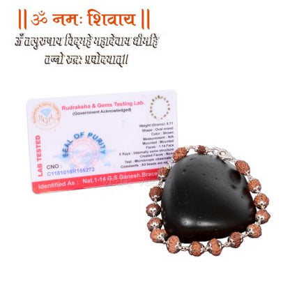 Siddha Rudraksha Bracelet 1 to 14 Mukhi Java Rudraksha in silver caps with Certificate