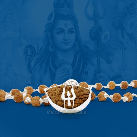 Ek Mukhi Rudraksh with Punchmukhi Mala in Silver