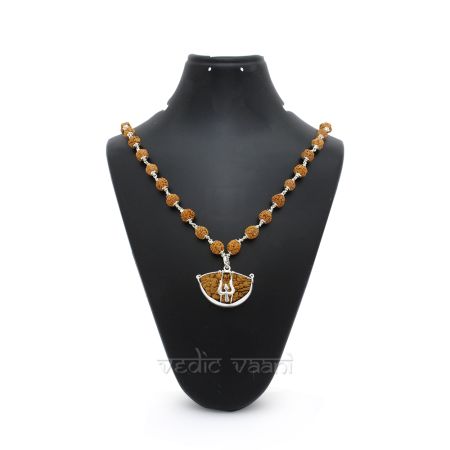 Ek Mukhi Rudraksh with Punchmukhi Mala in Silver