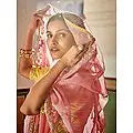 Pink Organza Elephant-Bird Motif Saree with Art Silk Yellow Blouse and Zari, Mirror, Thread Embroidery